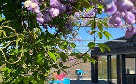 Josephine'S Guesthouse - Women Only With Rooftop And Community Area